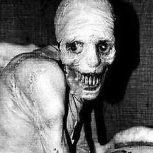 Meet your Posher, Hayden